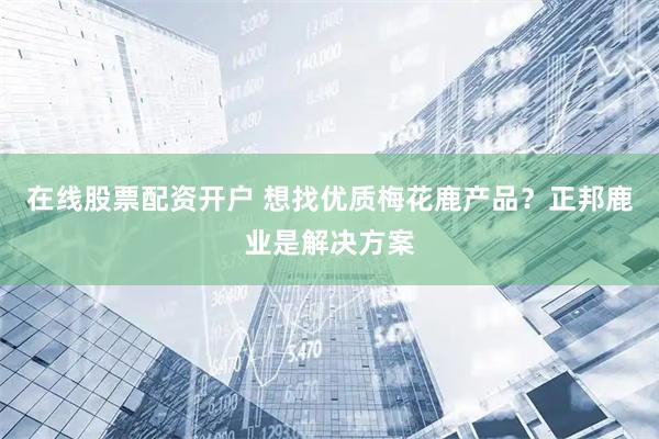 在线股票配资开户 想找优质梅花鹿产品？正邦鹿业是解决方案